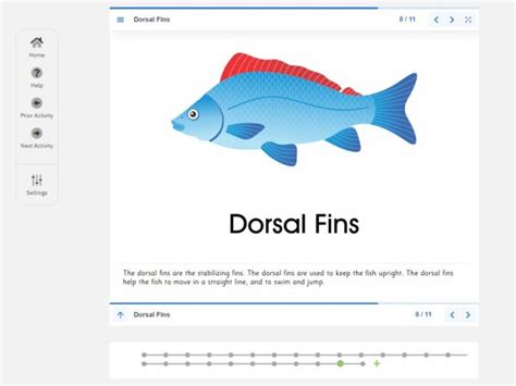 Zoology Nomenclature - Montessori RD Online