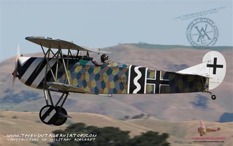 Fokker Dvii The Vintage Aviator