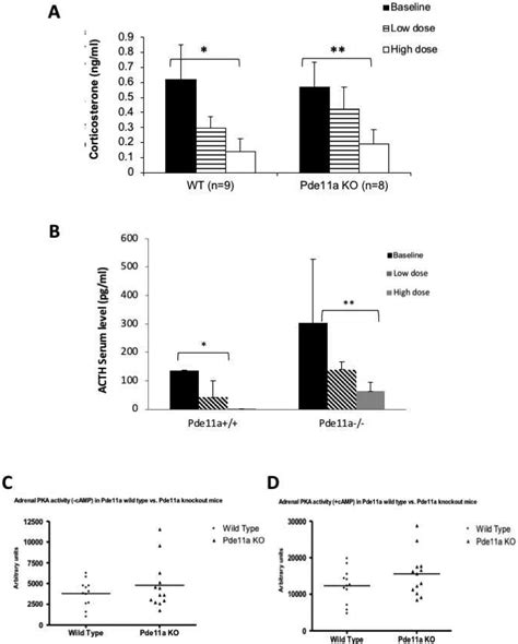 A Phosphodiesterase 11 Pde11a Knockout Mouse Expressed Functional But