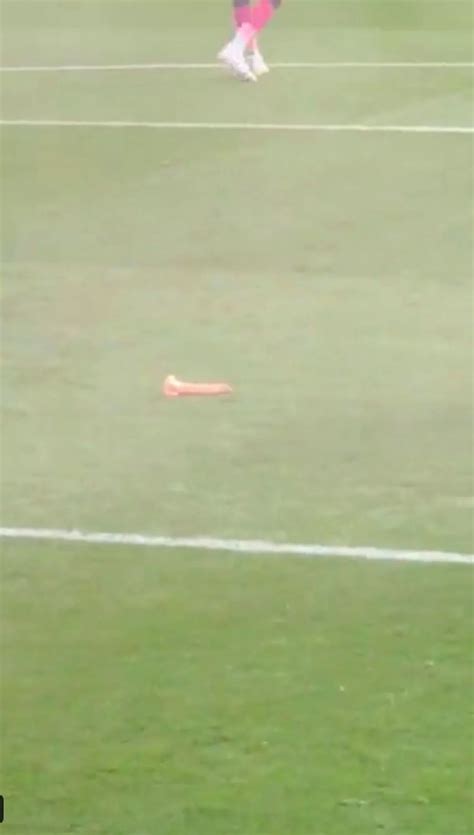 Steward Scores Goal With Dildo And Celebrates As He Sends Football Fans Wild Daily Star