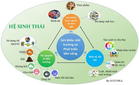 NGÀNH KHOA HỌC SỨC KHOẺ MÔI TRƯỜNG VÀ PHÁT TRIỂN BỀN VỮNG NGÀNH HỌC