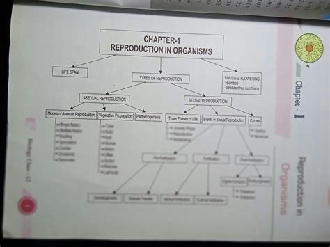 Solution Reproduction In Organisms Mind Map Studypool