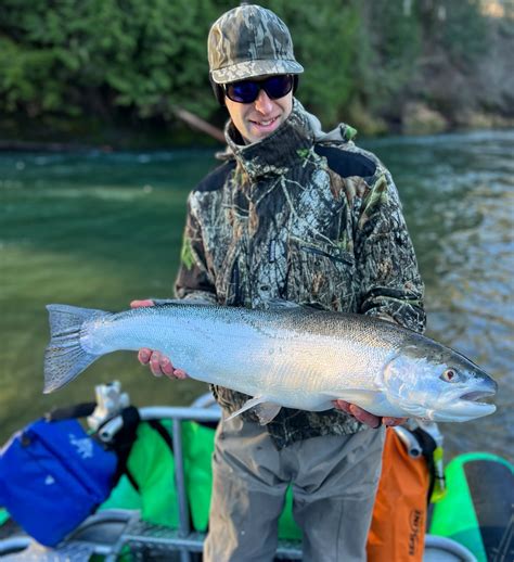 Miller River Fishing Guides to Help You Reel in Big Catch