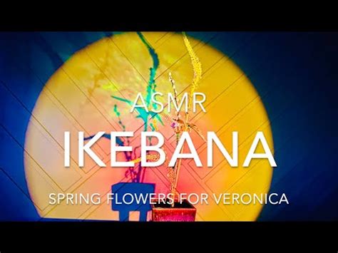 ASMR Ikebana Spring Flowers Lilies Veronicas Pussy Willow YouTube