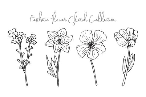 Aesthetic Spring and Summer Flower Sketch Collection 23330360 Vector ...