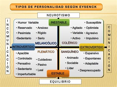 Teor A De La Personalidad Seg N Eysenck Tipos De Personalidad