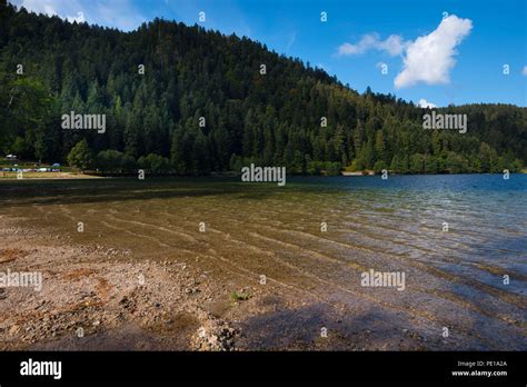 Beautiful Lake Lac De Longemer In The Vosges Mountains In France