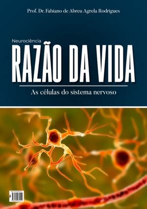 Neurocientista Fabiano de Abreu lança livro de neuroanatomia dos