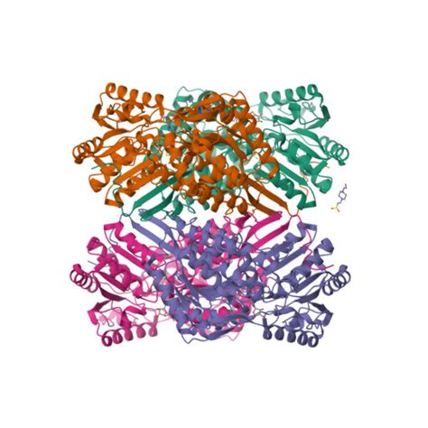 Rcsb Pdb 5dib 225 Angstrom Resolution Crystal Structure Of Betaine