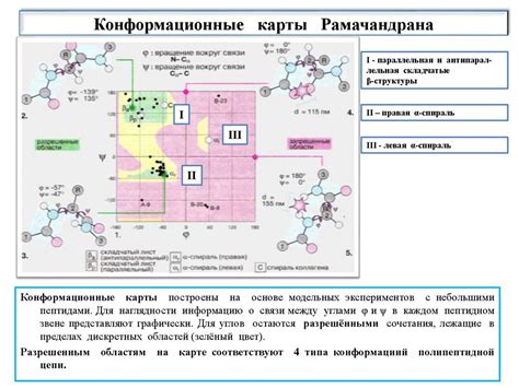 Физико-химические особенности строения и функции биополимеров ...