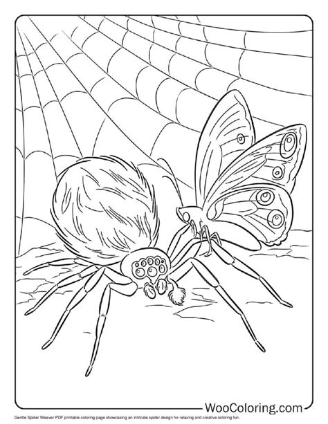 charlottes web coloring pages  kids