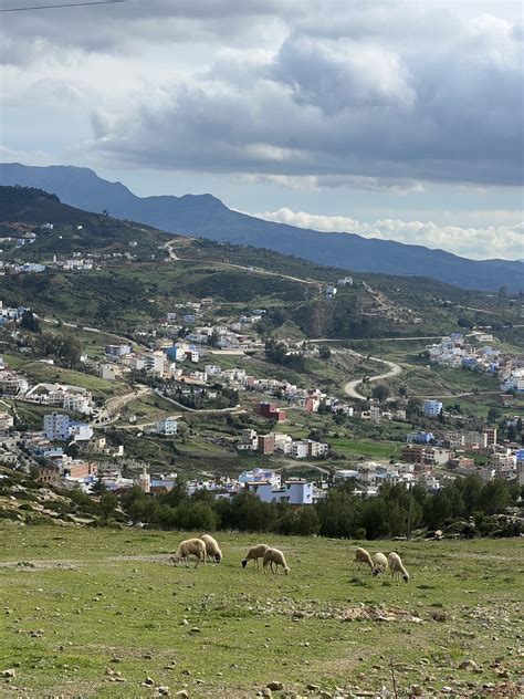 Chefchaouen Travel Guide Life In The Fast Jane