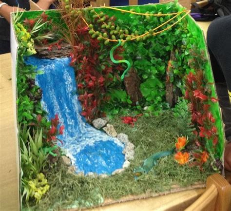 biome projects - Google Search | Rainforest project, Habitats projects, Rainforest crafts