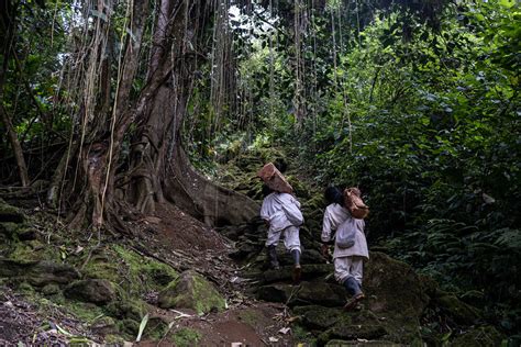 Vacaciones De Fin De Año Planes Y Precios De Destinos En Colombia Y El