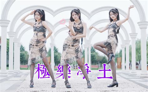 黏黏团子兔（极乐净土） Bilibili B站 无水印视频解析——yiuios易柚斯