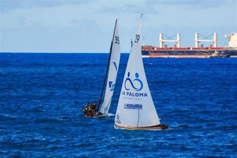 Vela Latina Canaria El Concurso Guaguas Municipales Fue A Manos Del