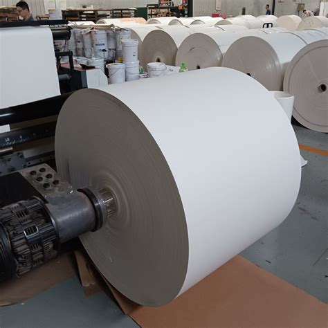 190 GSM 15g PE Coated White PE Coated Paper In Roll Normal Bulk PE