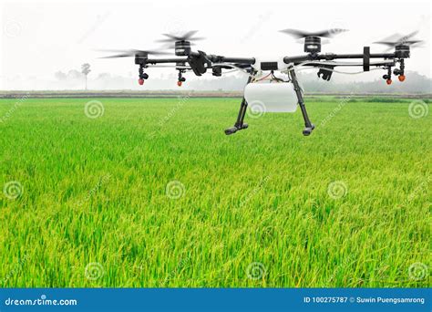 Agriculture Drone Flying on the Green Rice Field Stock Image - Image of ...