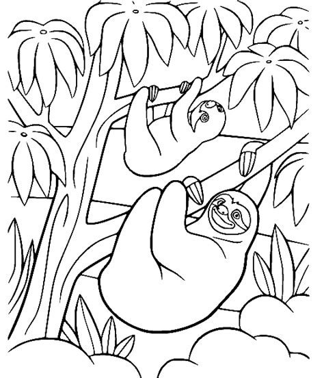 Two Sloths Coloring Page Free Printable Coloring Pages