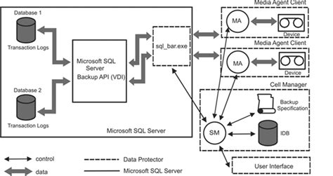 Microsoft Sql Server Zdb Integration