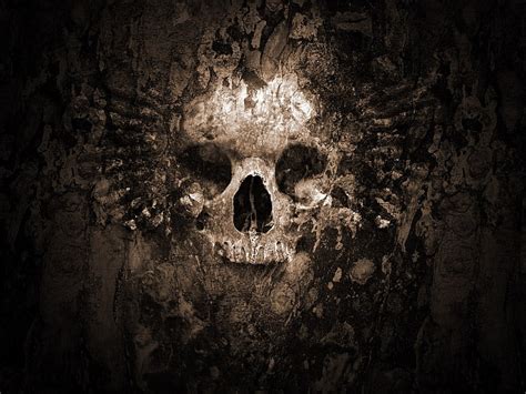 HD wallpaper: white and brown human skull wallpaper, death, earth, old, dark | Wallpaper Flare