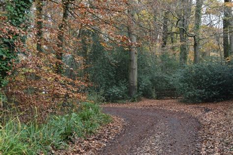 Service Road Beside The A David Martin Cc By Sa Geograph