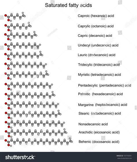 3,208 Saturated Fatty Images, Stock Photos & Vectors | Shutterstock