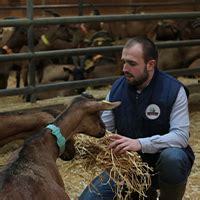 Ferme De La Tremblaye Fermier Vos Saveurs Paysannes En Circuit Court