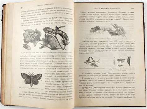 По каким учебникам и пособиям учились в Российской империи? : sell_off ...