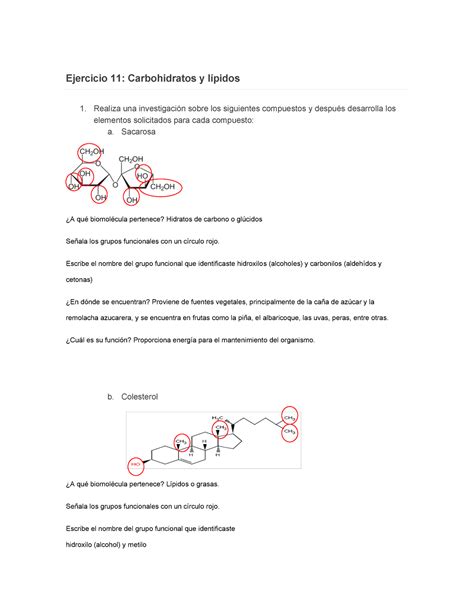 Ejercicio El Carbono Y Sus Compuestos El Compuesto Y Sus Carbonos