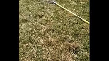 Mi Novia Mexicana XVIDEOS