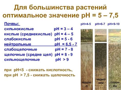 Раскисление почвы: как понизить кислотность в домашних условиях, 7 способов
