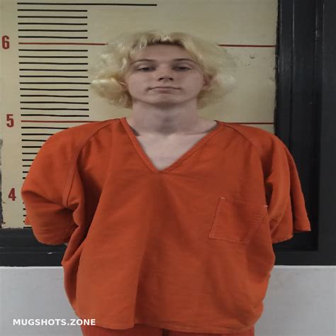 Henderson Braxten Robert Van Zandt County Mugshots Zone