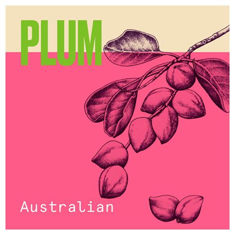 Buy Aussie Aussome Volume Shampoo | Chemist Direct