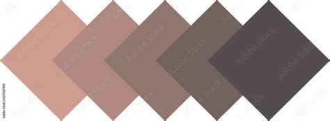 Nude Color Palette Nude Swatches Stock Vector Adobe Stock