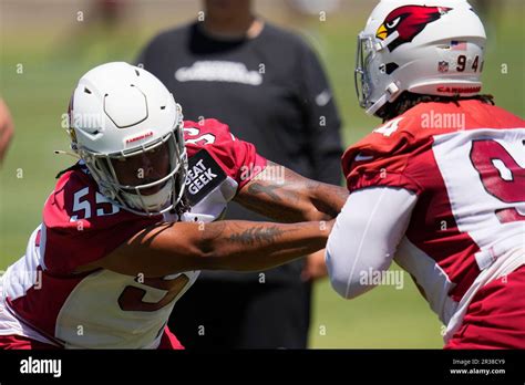 Arizona Cardinals Defensive Linemen Dante Stills And Carlos