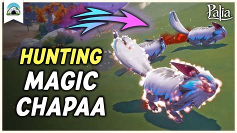 Azure CHAPAA Guide How To Find Hunt The MAGIC Chapaa Palia YouTube