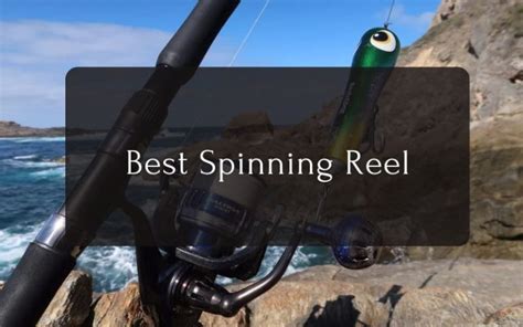 Best Baitcasting Reel For Beginners Top 6 Baitcaster Reels 2022