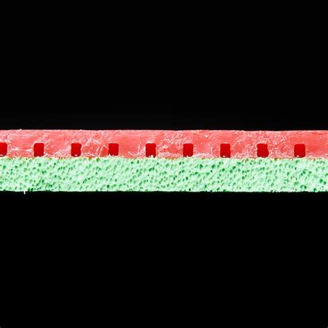 Rasanter R45 | Andro