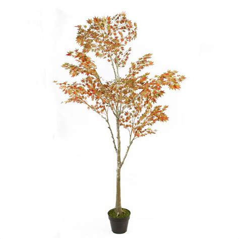 Northlight 5 5 Ft Potted Fall Harvest Artificial Orange Dream Japanese