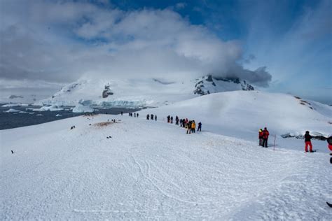 Antarctica Elephant Island Weddell Sea Polar Circle PLA31 25