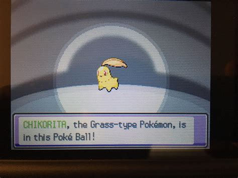 [4] That's what I'm talking about! Shiny Chikorita in Soul Silver! Only ...