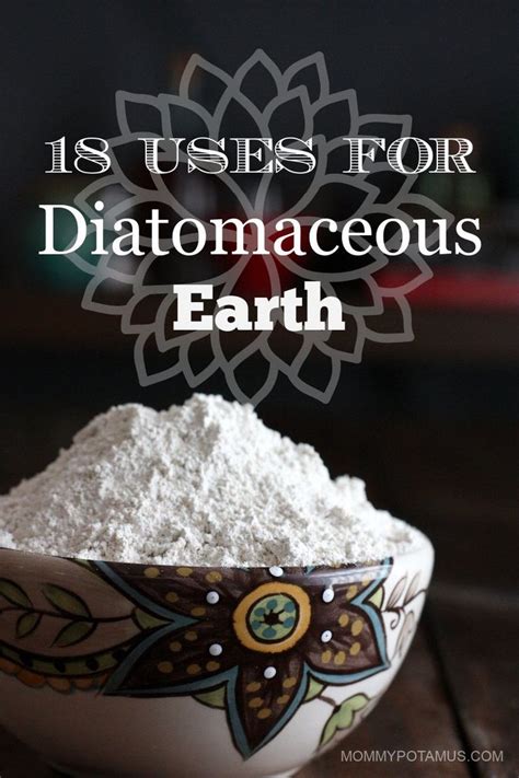 The Beginner S Guide To Diatomaceous Earth Diatomaceous Earth Food