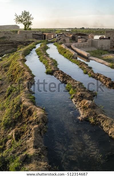 Irrigation Canal System Euphrates River Syria Stock Photo 512314687 ...