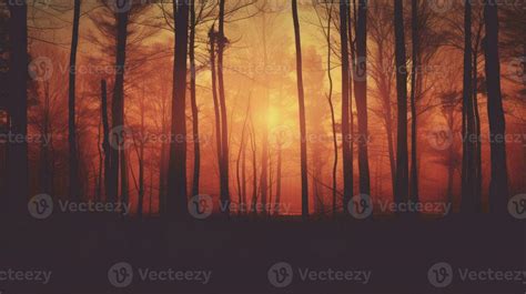 Instagram style filtered woods at sunset. silhouette concept 27381832 Stock Photo at Vecteezy