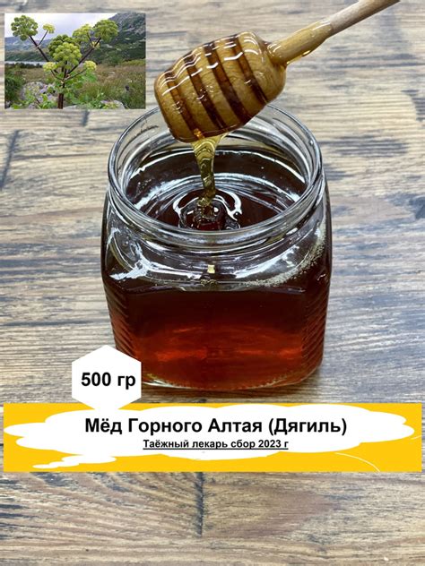 Мёд Горного Алтая (Дягиль) - купить с доставкой по выгодным ценам в ...