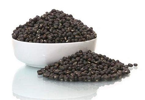 Organic Black Urad Dal High In Protein At Rs 6500quintal In Jhansi Id 2849933999997