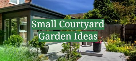 Small Courtyard Garden Ideas Gardenprofy