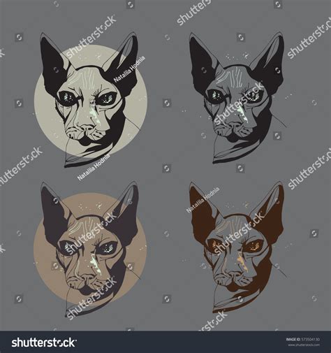 Cute Cats Hairless Naked Cats Sphinx vector de stock libre de regalías Shutterstock