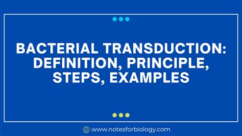 Bacterial Transduction: Definition, Principle, Steps